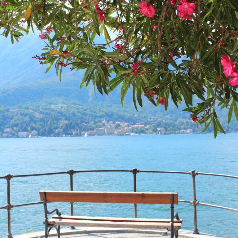 Alessandra Residence - Domaso lago di Como - Appartamento con 1 Camera da Letto - 25