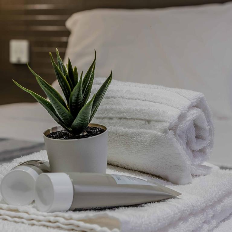 Salina Luxury Suites - Camera Matrimoniale - 4