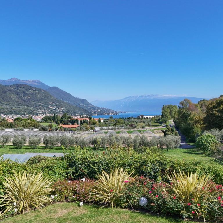 Villa Caterina - Villa Superior - 75