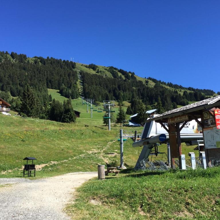 Les Saisies Bisanne - Appartement avec Terrasse - 33