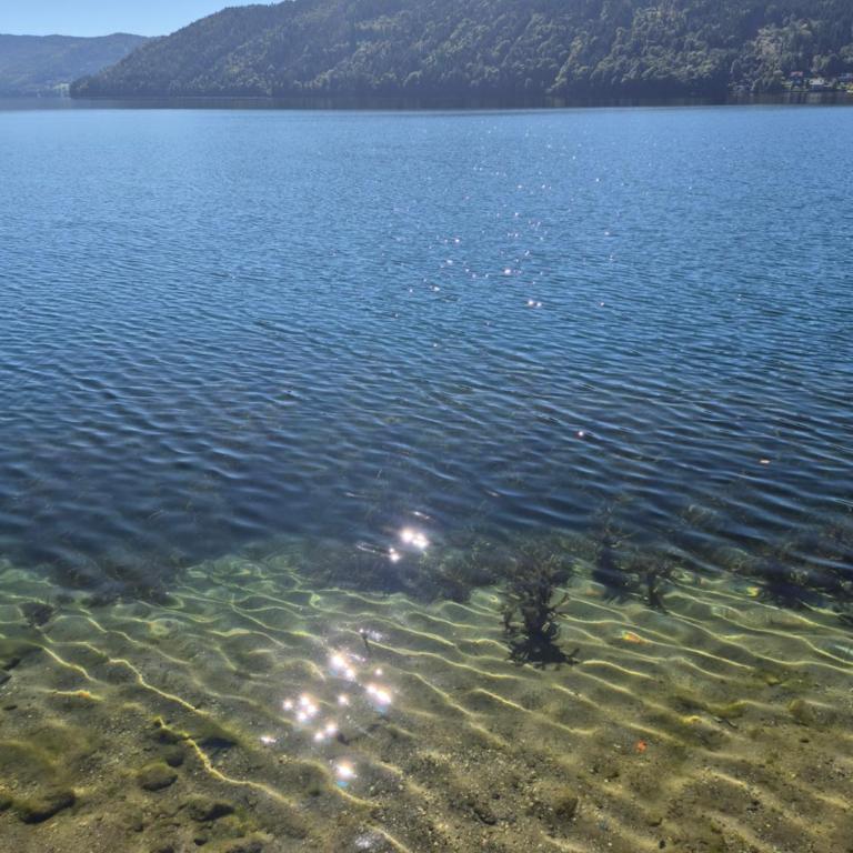 Dein Zuhause am See - Apartment mit 1 Schlafzimmer - 25