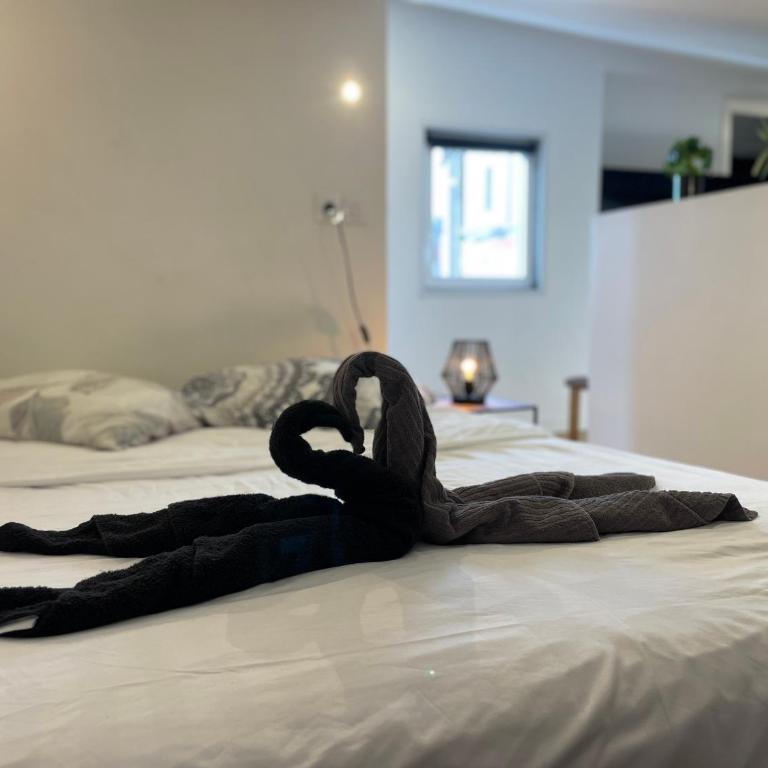 Petit Nid sous les Toits de Toulouse - Appartamento con 1 Camera da Letto - 16