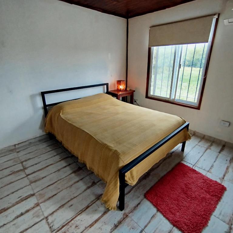 Entretanto - Room #1583049001 - 15