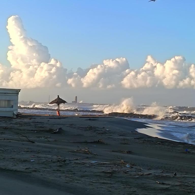 Summer&Winter Home by the sea - Appartamento con 1 Camera da Letto - 24