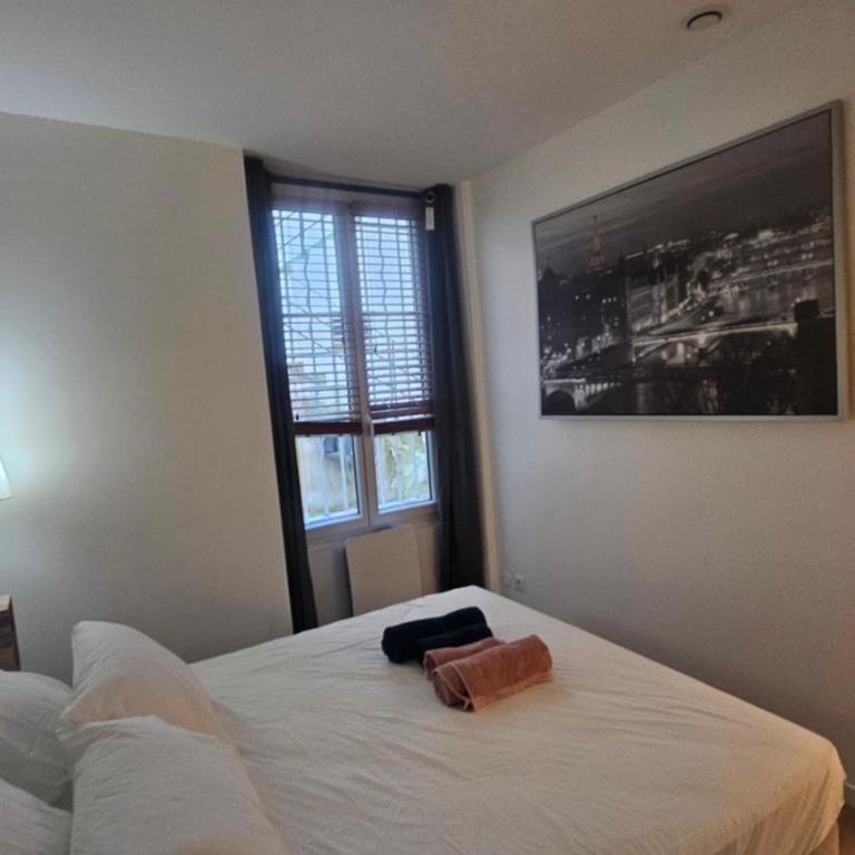 Quatro rue du Théâtre - Appartement 1 Chambre - 29