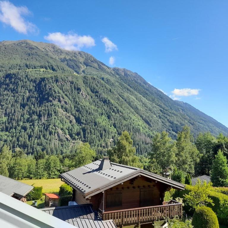 Chalet mitoyen au calme - rez-de-jardin - parking - Appartement 2 Chambres - 23
