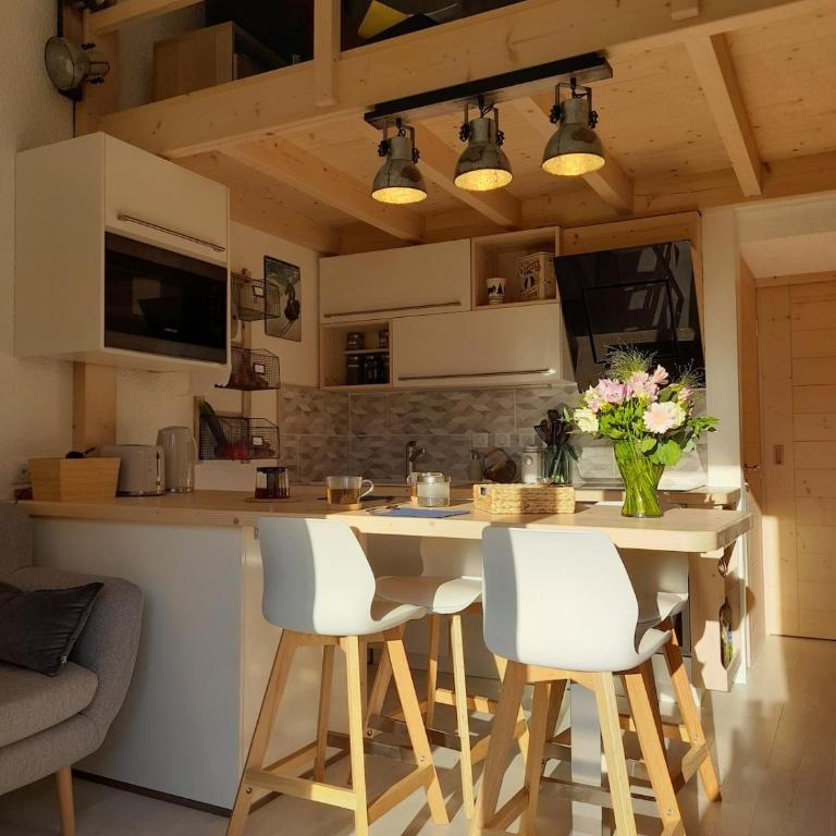 Chalet mitoyen au calme - rez-de-jardin - parking - Appartement 2 Chambres - 3