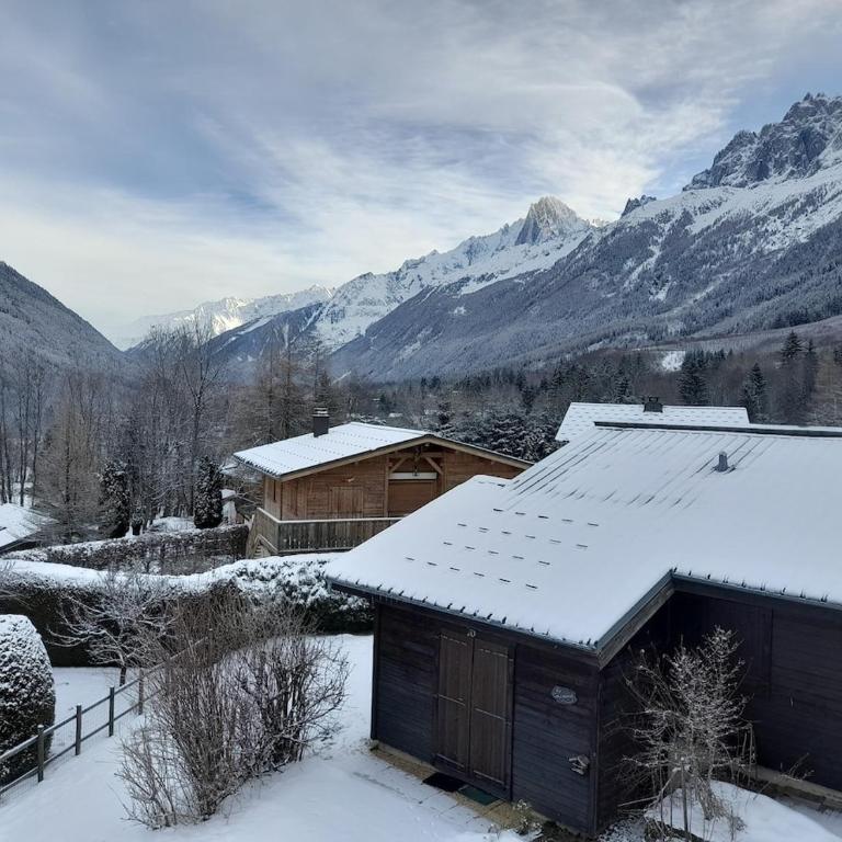 Chalet mitoyen au calme - rez-de-jardin - parking - Appartement 2 Chambres - 25