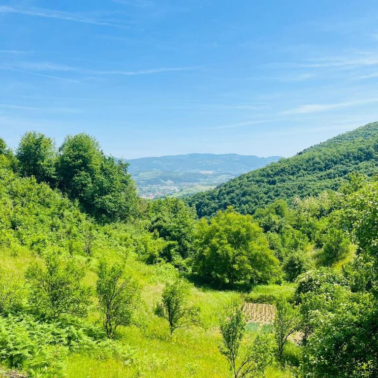 Neno Pyramid Wellness Retreat - Apartman na Više Nivoa - 99