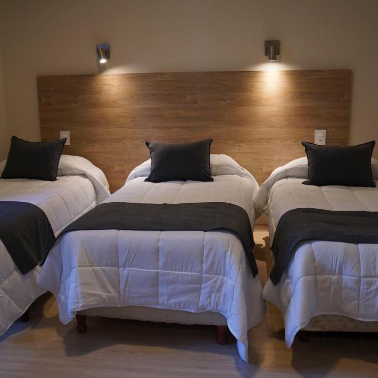 Hotel Alpre - Habitación Individual Superior - 1