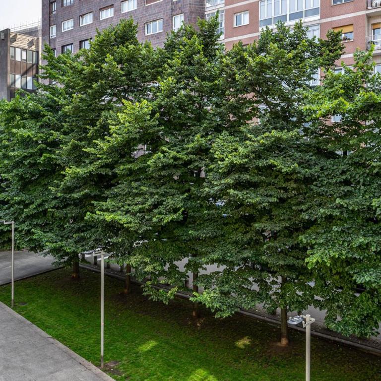 Apartamento Luca - Apartamento de 2 dormitorios - 22