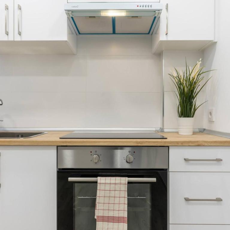 Apartamento Marqués de Urquijo - Apartamento de 3 dormitorios - 14