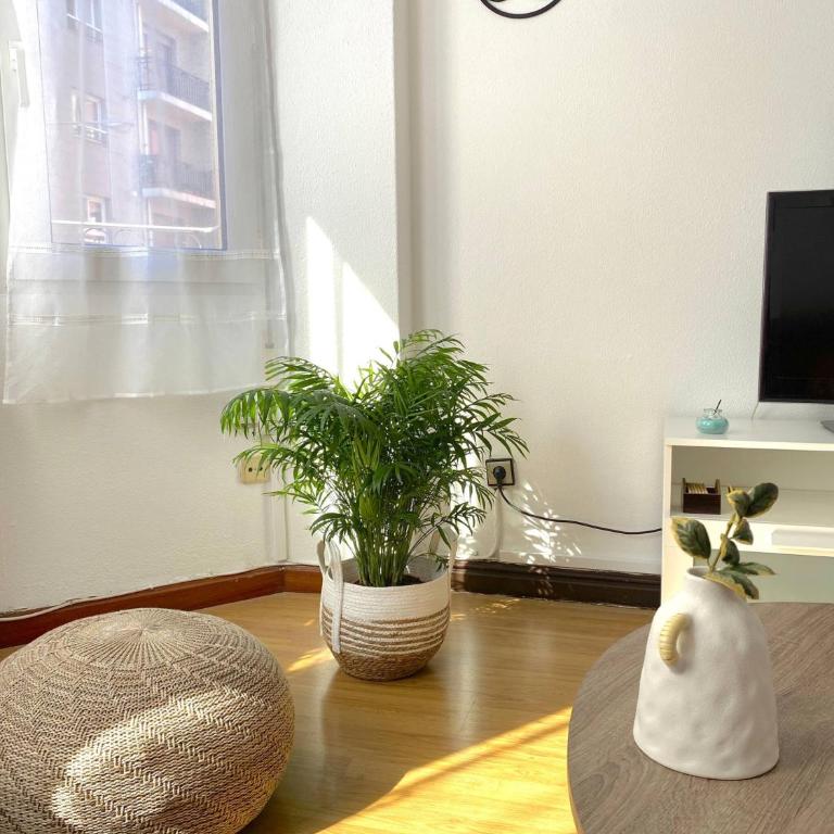 Apartamento Trisquel - Apartamento de 3 dormitorios - 38