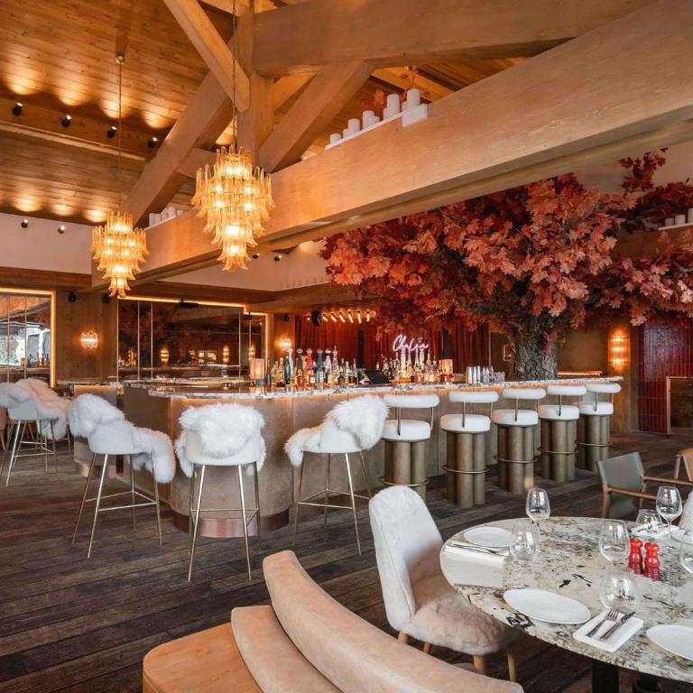 Appartement de luxe à Courchevel 1850, accès ski et bien-être inclus - FR-1-830-15 - Apartment - 18