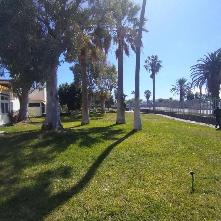 RenTenerife Canary Oasis - Agarimo - Estudio - 26