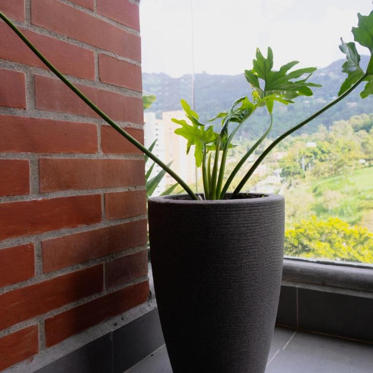 Incredible new apartment in Envigado for six people - Two-Bedroom Apartment - 90