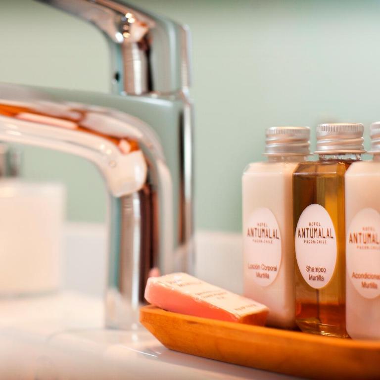 Hotel Antumalal - Villa Superior - 9