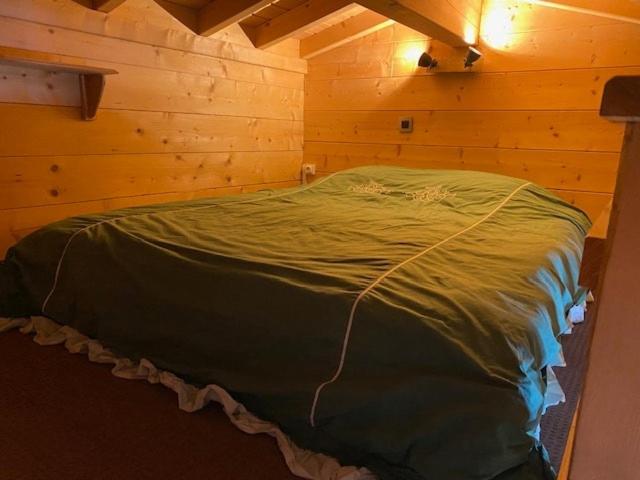 Chalet vue montagne , proche des pistes - Chalet - 9