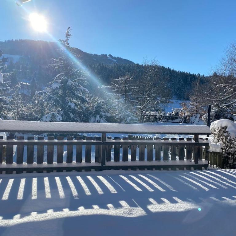 Chalet vue montagne , proche des pistes - Chalet - 23