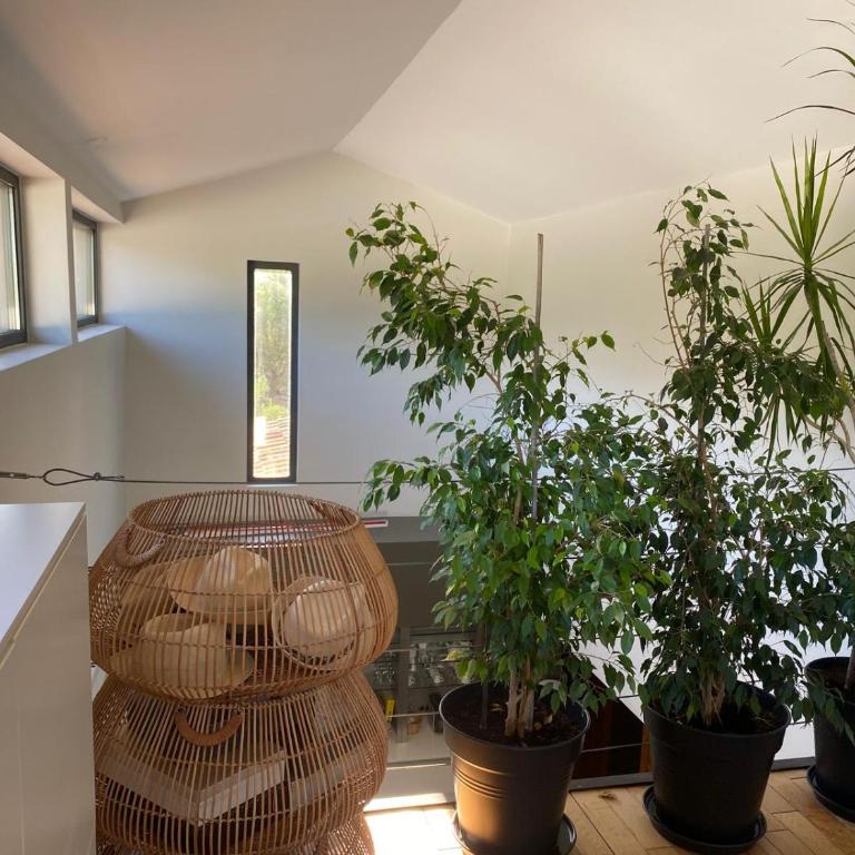 Villa ATHENA - Villa 3 Chambres - 63