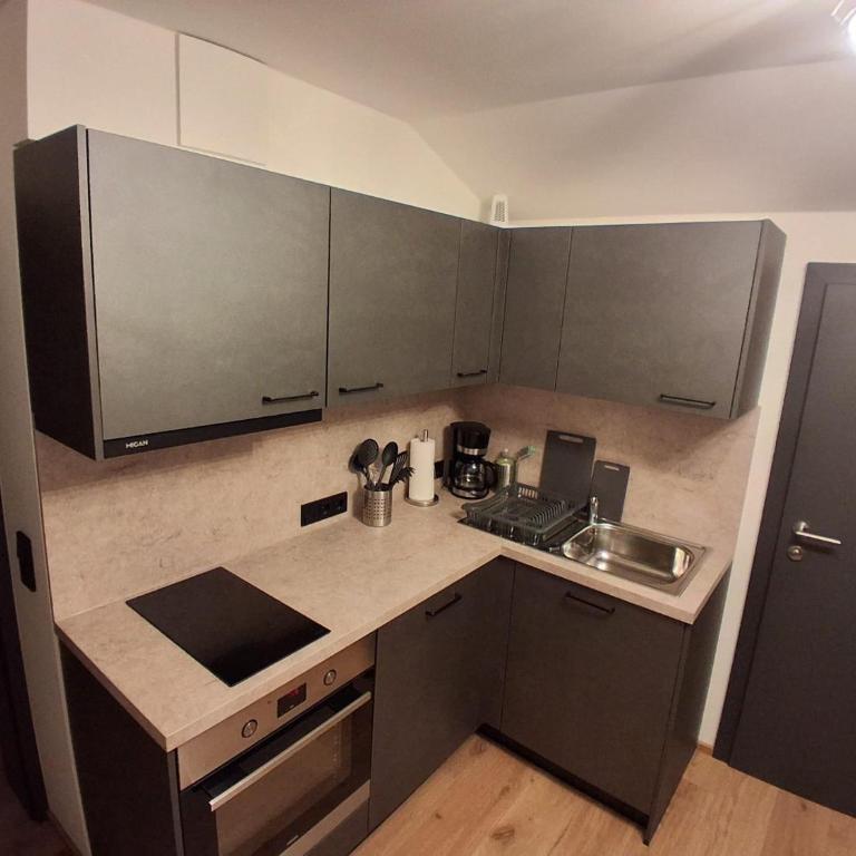 Zillerlehen - Apartamento de 2 dormitorios - 22