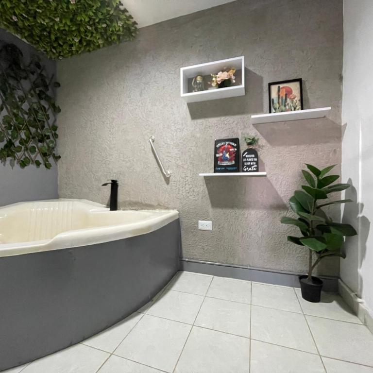 Apartamento moderno cerca a Clinica Abner Lozano - Apartamento Deluxe de 1 dormitorio con vistas al jardín - 13