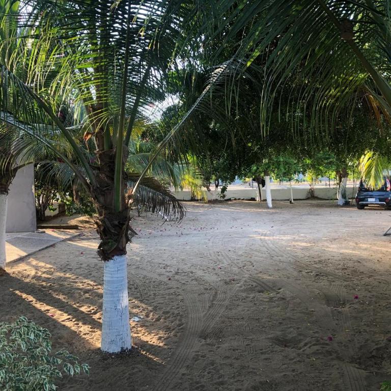 Luxury Beach House - Villa - 18