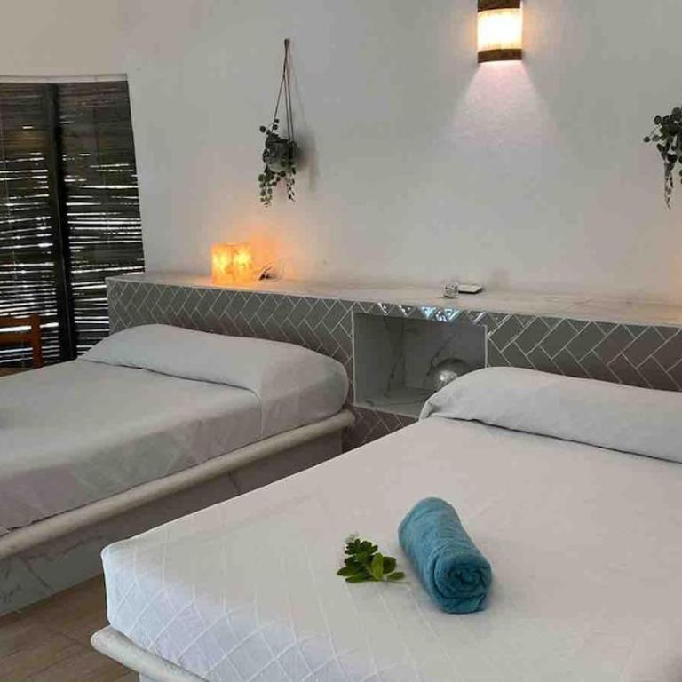 Luxury Beach House - Villa - 20