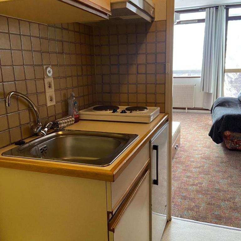 Résidence belle hutte coté pistes de ski - Apartment mit 1 Schlafzimmer - 10