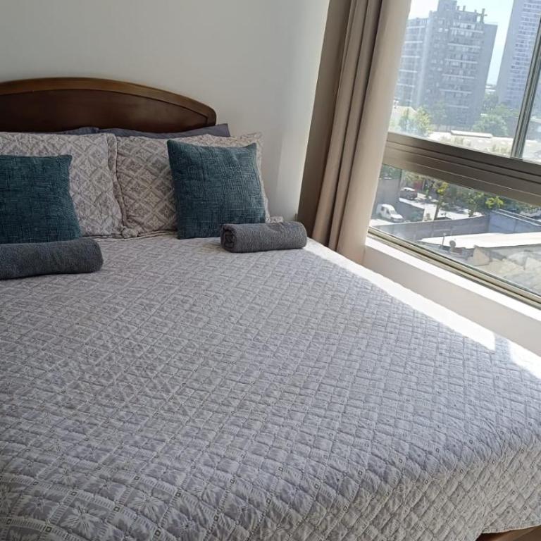 Departamento a pasos del terminal de buses de Santiago, USACH, Escuela PDI, Barrio Meiggs, Estación de trenes EFE y Autopista Gral Velazques - One-Bedroom Apartment - 1