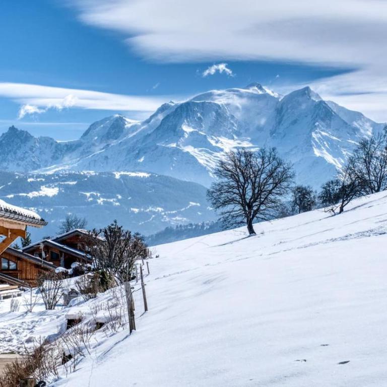 Monte Bianco - Chalet Vue 8pax Bain Nordique Sauna - Chalet - 67