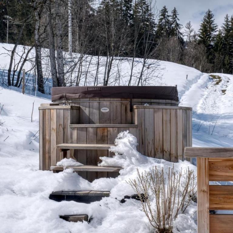 Monte Bianco - Chalet Vue 8pax Bain Nordique Sauna - Chalet - 66
