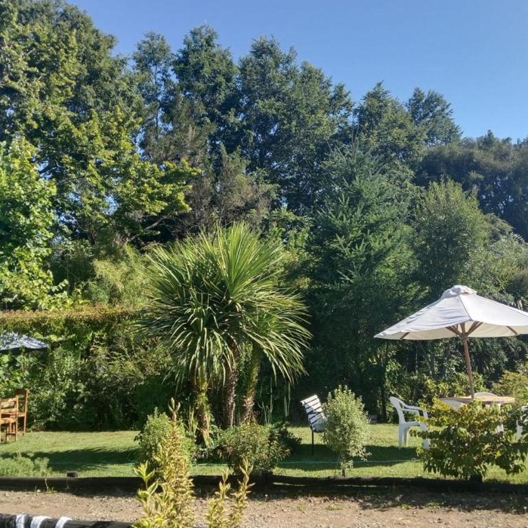 Amplia casa en Villarrica - Room #1583164801 - 3