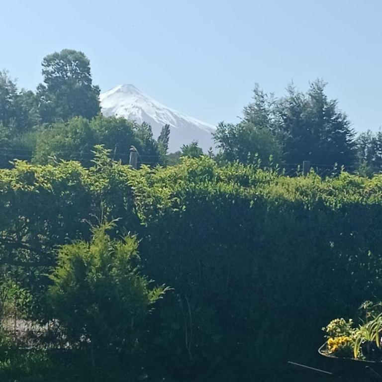 Amplia casa en Villarrica - Room #1583164801 - 4