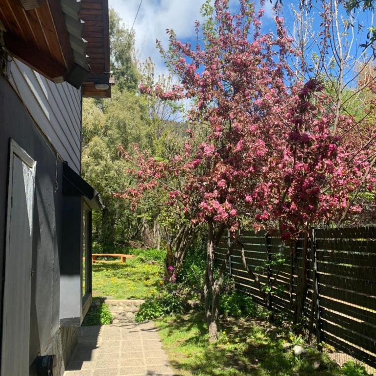 Teknazeu Bariloche - Apartamento de 2 dormitorios - 15