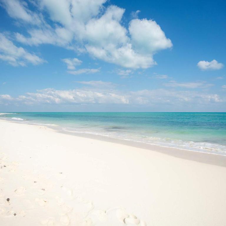 Blanca Beach House - 3BR - Eco-friendly Retreat - Vacation Home - 47