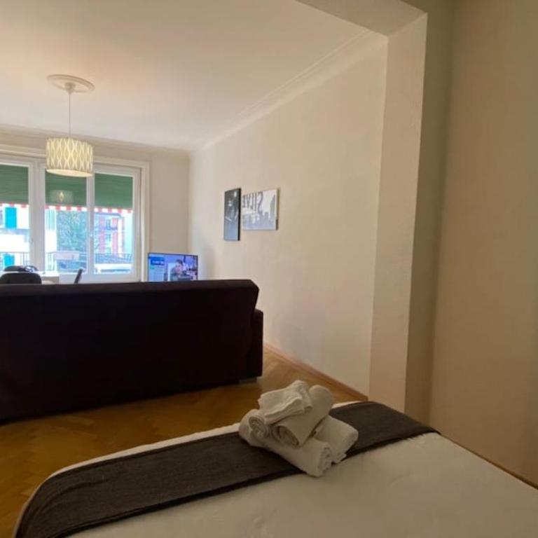 Large Apartment 7 minutes walking to Train station - Apartment mit 1 Schlafzimmer - 8