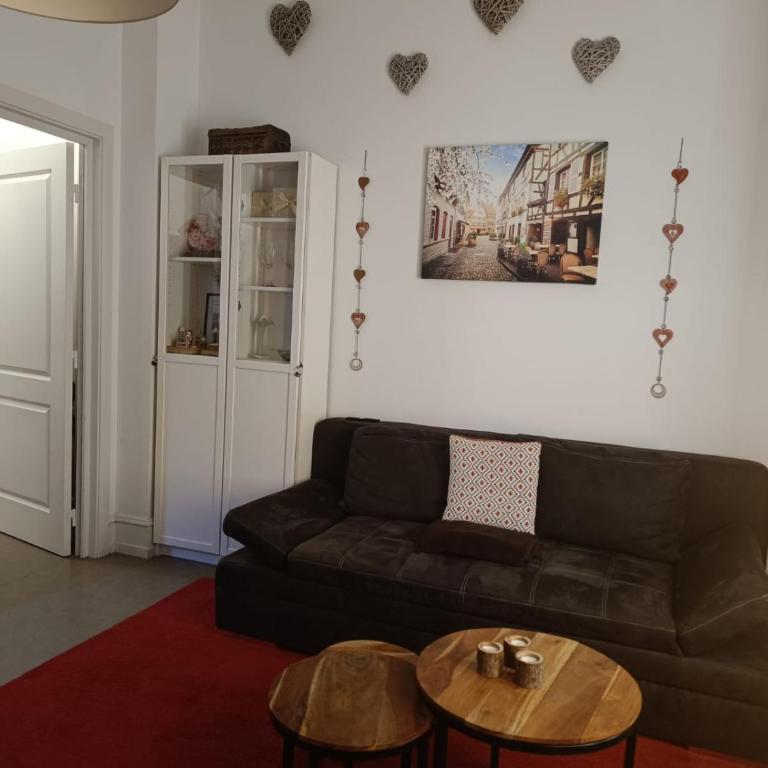 Coeur d'Elsass "RAPP"appartement avec parking - Appartement - Rez-de-Chaussée - 14