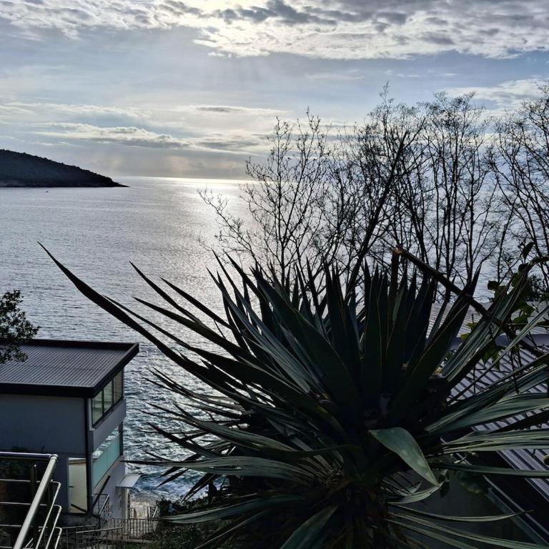Beach House Kruče - Apartman sa 2 Spavaće Sobe, Balkonom i Pogledom na More - 17
