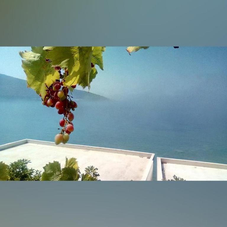 Beach House Kruče - Apartman sa 2 Spavaće Sobe, Balkonom i Pogledom na More - 14