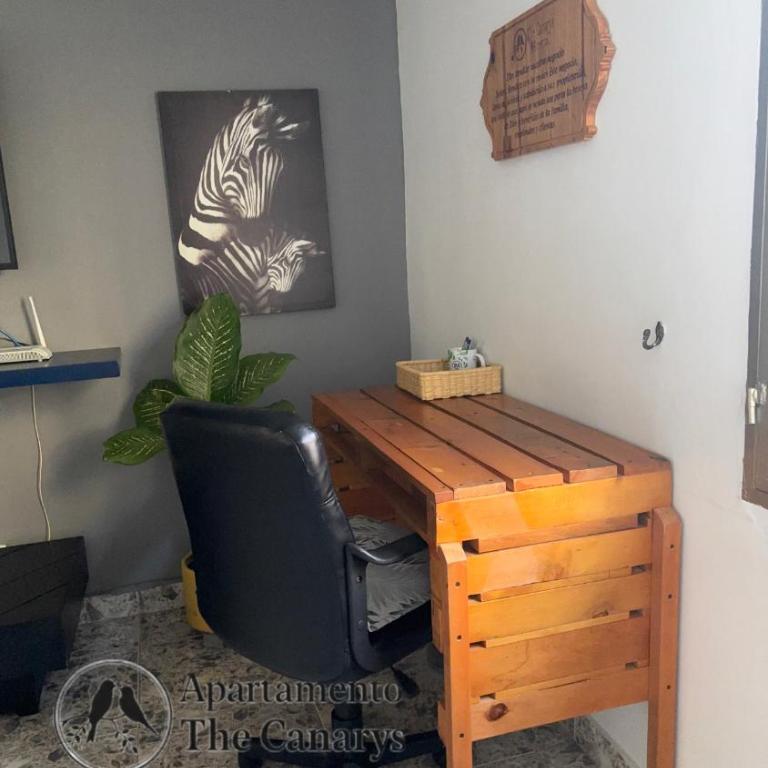 Apartamento thecanarys - Apartamento Estándar de 2 dormitorios - 14