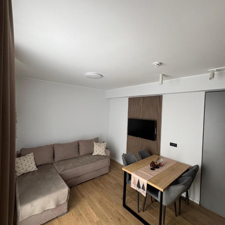 Apartman IRIS Kopaonik - One-Bedroom Apartment - 2