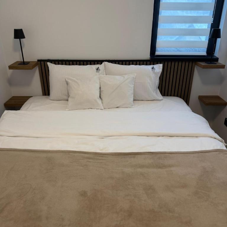 Apartman IRIS Kopaonik - One-Bedroom Apartment - 6
