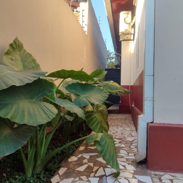Alojamiento por día - Room #1583256001 - 14