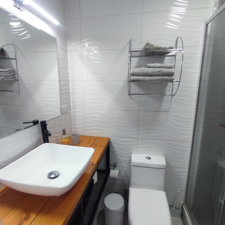 Casa Baquedano Vicuña - One-Bedroom House - 7