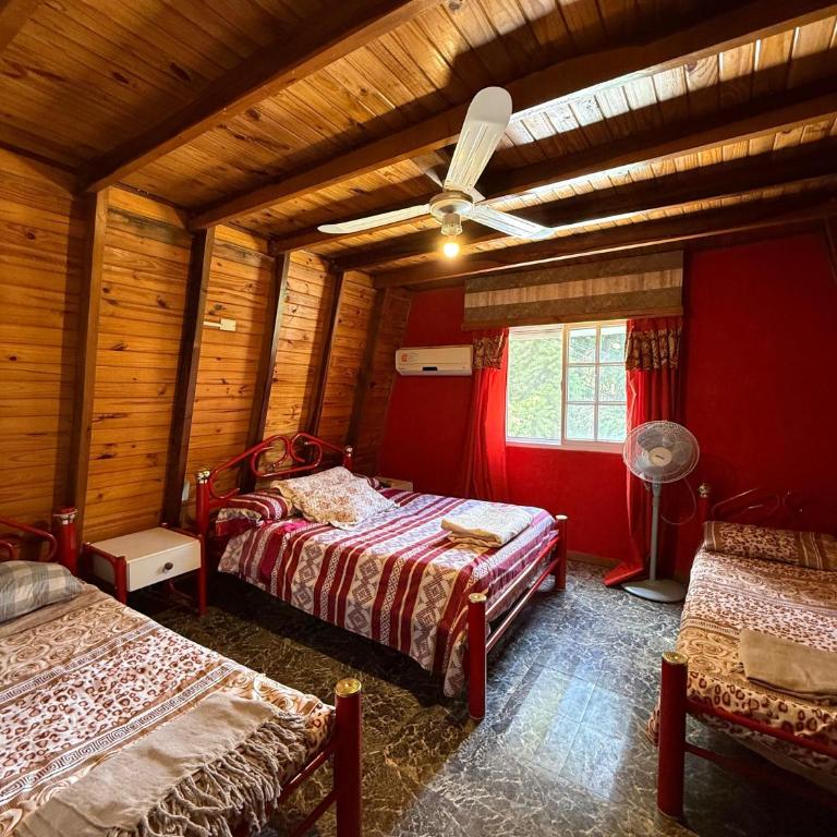 Doble casa con piscina en Gualeguaychú - Casa de 2 dormitorios - 57