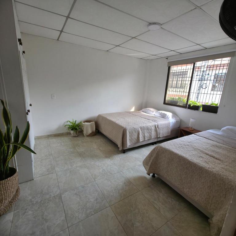 Casa Café Nukua - Room #1583312601 - 2