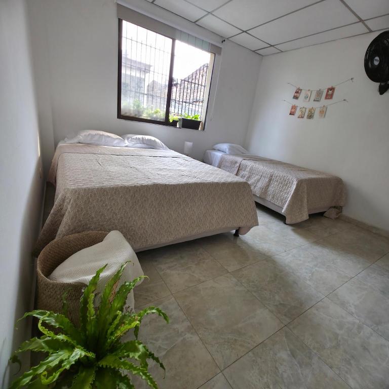 Casa Café Nukua - Room #1583312601 - 3