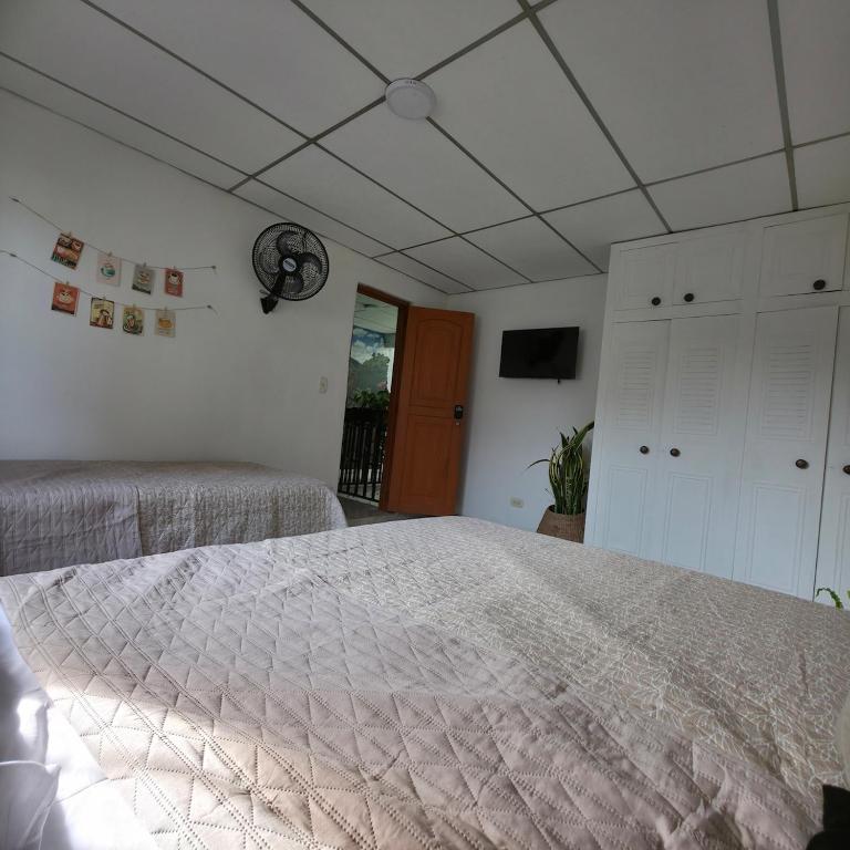 Casa Café Nukua - Room #1583312601 - 11