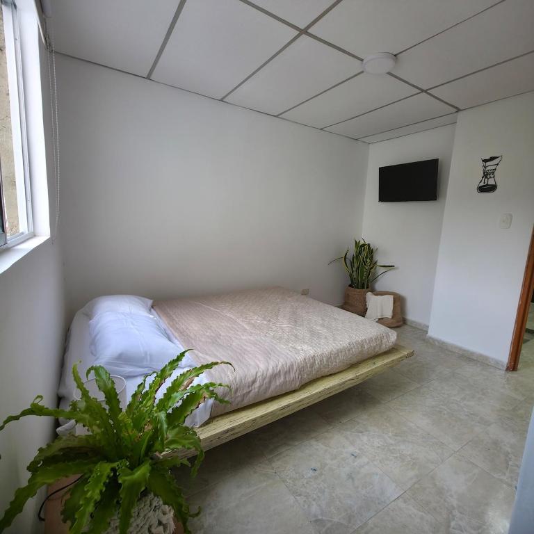 Casa Café Nukua - Room #1583312601 - 12